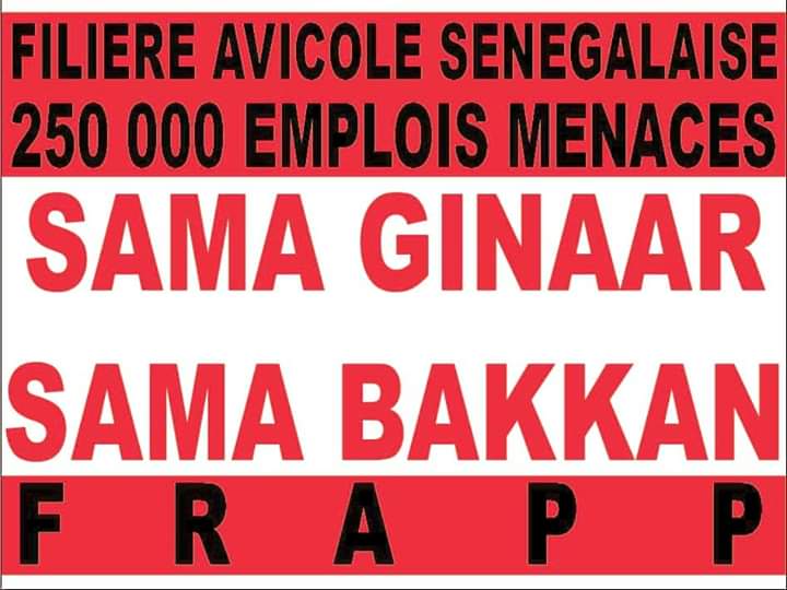 Sama Ginaar Sama Bakkan — Défense de la Filière Avicole